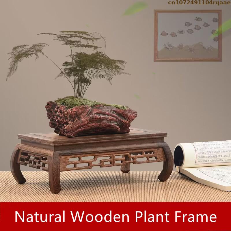 Premium Wooden Bases Bonsai Ho - Coffee Tea For Plants บทวิจารณ์และราคา