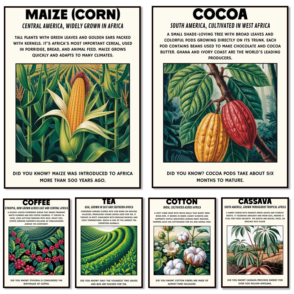 African plant prints, cassava, - Coffee Tea For Plants บทวิจารณ์และราคา