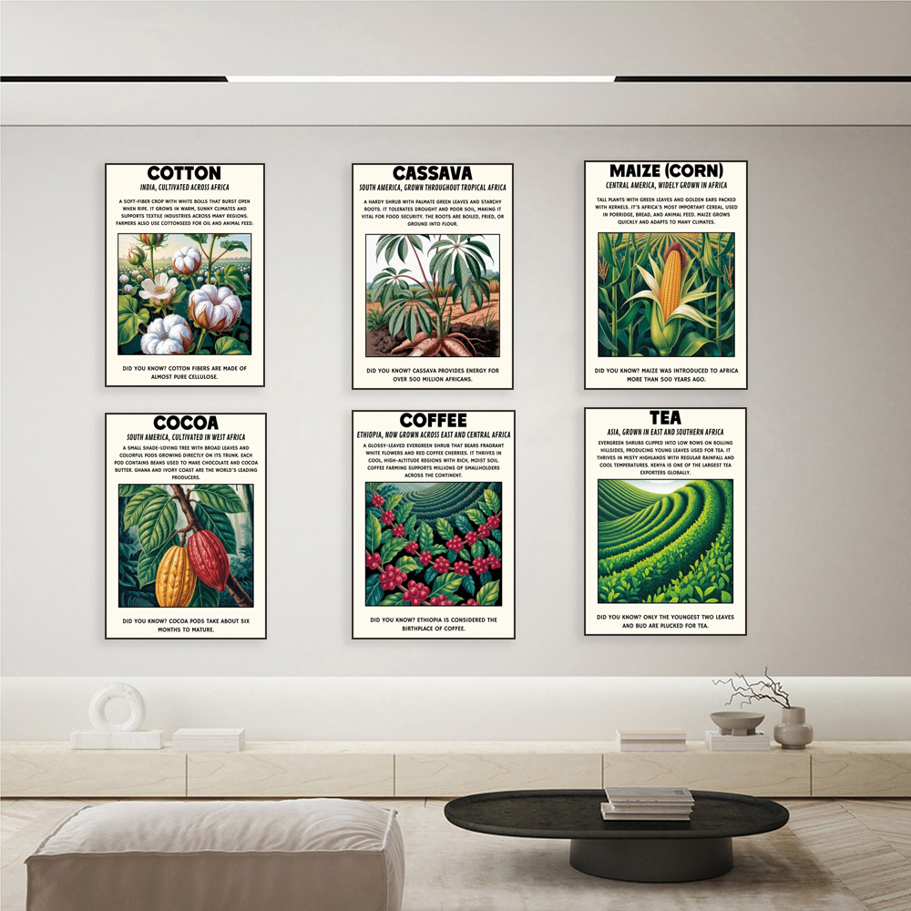 African plant prints, cassava, - Coffee Tea For Plants บทวิจารณ์และราคา