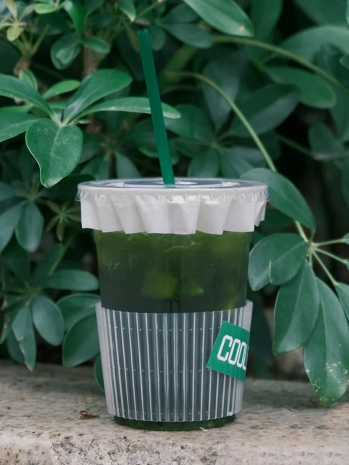 Disposable Transparent Cup Sve - Coffee Tea Cup บทวิจารณ์และราคา
